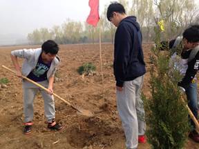 周末植树活动 