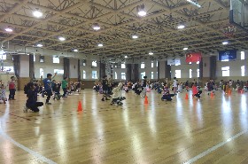武风舞韵——助兴新英才学校第九届运动会