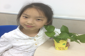 种子的孕育